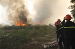 Cháy rụi 10 ha rừng tại vùng cát Quảng Điền
